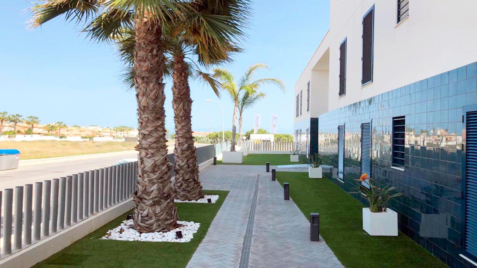 Apartamento Palmview Poolside Heaven In Turquesa Del Mar Oriola  Exterior foto